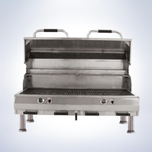 dual outdoor electric grill