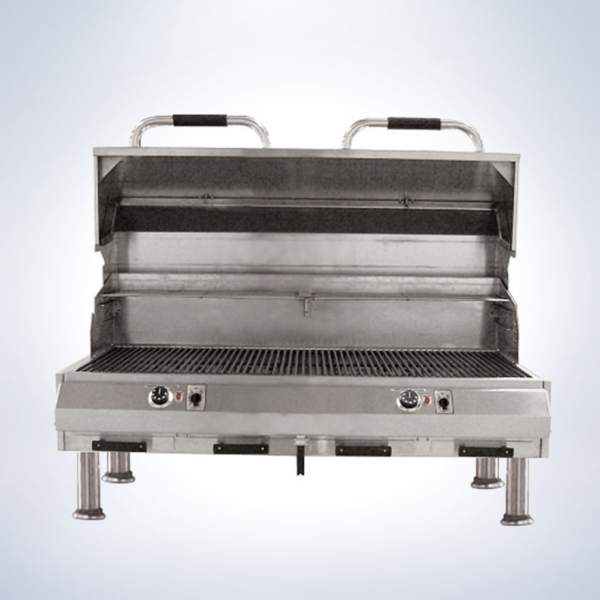 dual outdoor electric grill